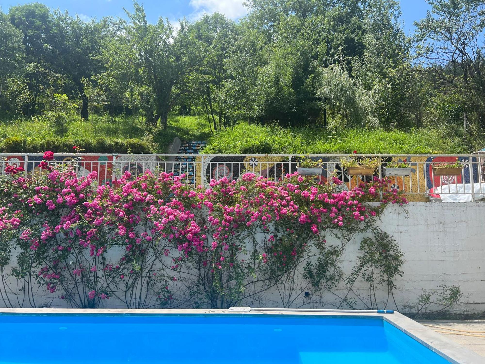 Dilijan Duplex Villa Exterior photo